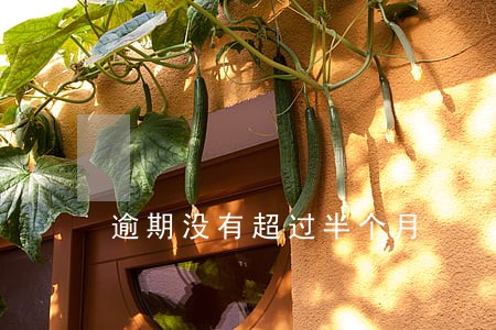 逾期没有超过半个月 逾期没有超过半个月