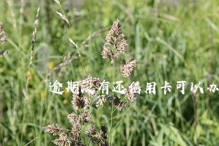 逾期没有还信用卡可以办按揭 逾期没有还信用卡可以办按揭