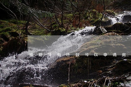 逾期没有还款可以申请房贷吗 逾期没有还款可以申请房贷吗