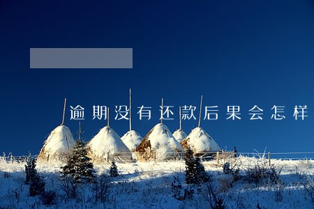 逾期没有还款后果会怎样 逾期没有还款后果会怎样