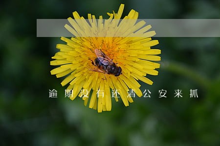 逾期没有还清公安来抓 逾期没有还清公安来抓