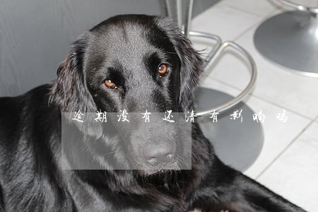 逾期没有还清有影响吗 逾期没有还清有影响吗
