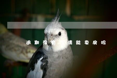 逾期没有还清能卖房吗 逾期没有还清能卖房吗