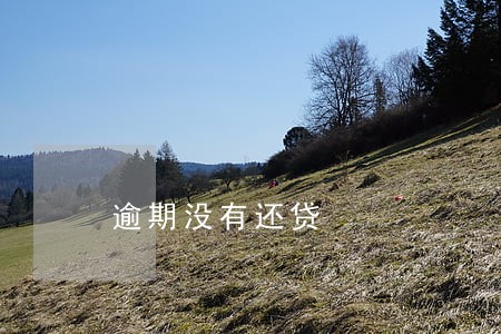 逾期没有还贷 逾期没有还贷