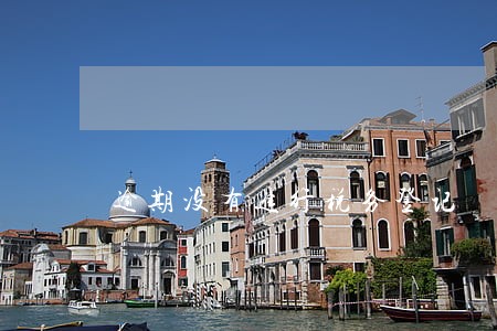 逾期没有进行税务登记 逾期没有进行税务登记