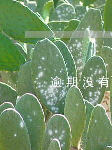 逾期没有送达的法律规定 逾期没有送达的法律规定