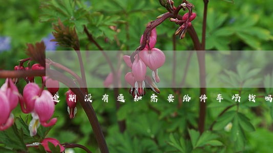 逾期没有通知需要给停车场钱吗 逾期没有通知需要给停车场钱吗