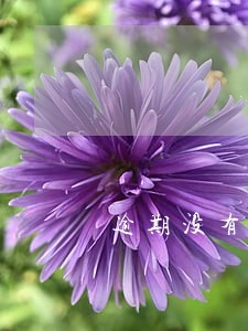 逾期没有钱还款怎么办 逾期没有钱还款怎么办