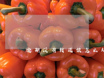 逾期没有钱还该怎么处理 逾期没有钱还该怎么处理