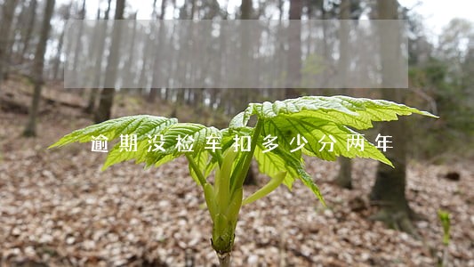 逾期没检车扣多少分两年 逾期没检车扣多少分两年