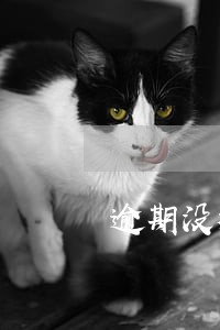 逾期没检验请现场办理 逾期没检验请现场办理