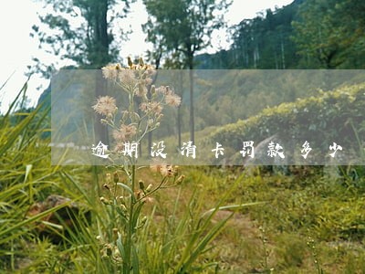 逾期没清卡罚款多少 逾期没清卡罚款多少