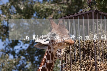逾期没申报不予补发原则 逾期没申报不予补发原则