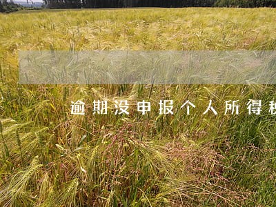 逾期没申报个人所得税 逾期没申报个人所得税