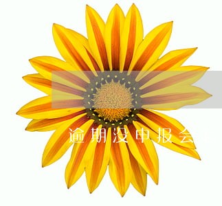 逾期没申报会怎么样