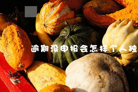 逾期没申报会怎样个人独资企业 逾期没申报会怎样个人独资企业