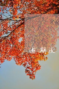 逾期没申报印花税会怎样 逾期没申报印花税会怎样