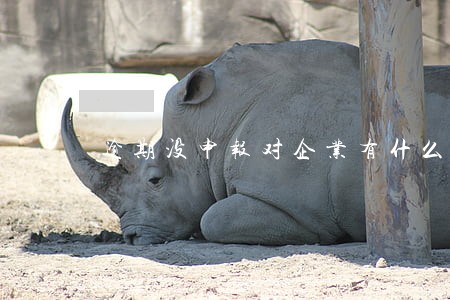 逾期没申报对企业有什么影响 逾期没申报对企业有什么影响