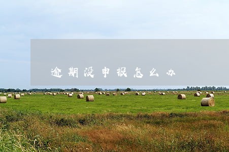 逾期没申报怎么办 逾期没申报怎么办