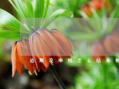 逾期没申报怎么给老板说 逾期没申报怎么给老板说