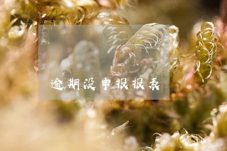 逾期没申报报表 逾期没申报报表