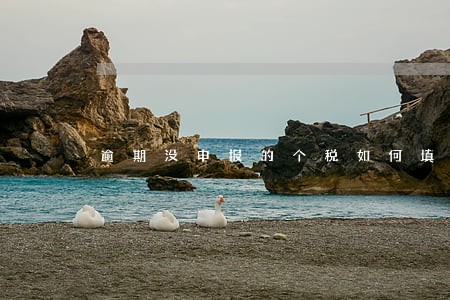 逾期没申报的个税如何填申报表 逾期没申报的个税如何填申报表