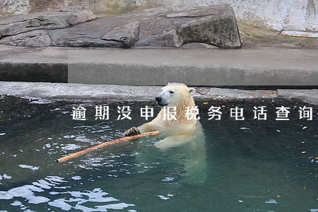 逾期没申报税务电话查询 逾期没申报税务电话查询