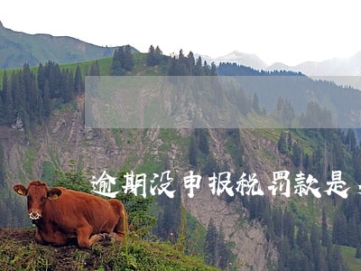 逾期没申报税罚款是多少 逾期没申报税罚款是多少