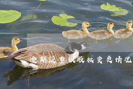 逾期没申报股权变更情况说明 逾期没申报股权变更情况说明