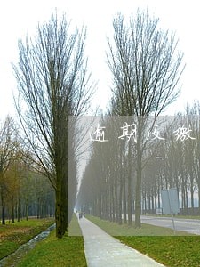 逾期没缴增值税罚款吗