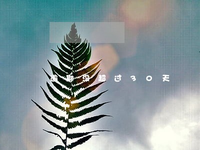 逾期没超过30天 逾期没超过30天