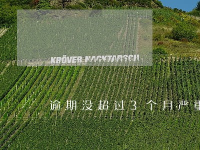 逾期没超过3个月严重吗