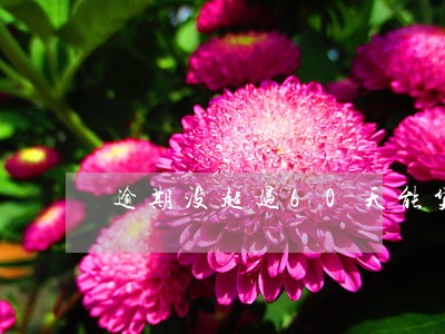 逾期没超过60天能贷房贷不 逾期没超过60天能贷房贷不