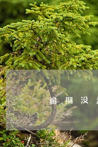 逾期没超过90天会影响贷款吗 逾期没超过90天会影响贷款吗