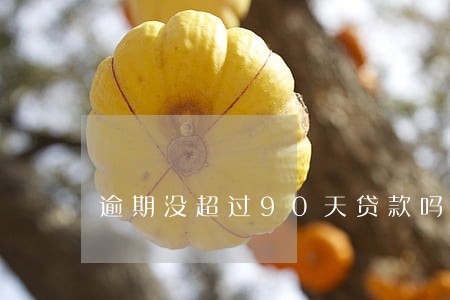 逾期没超过90天贷款吗