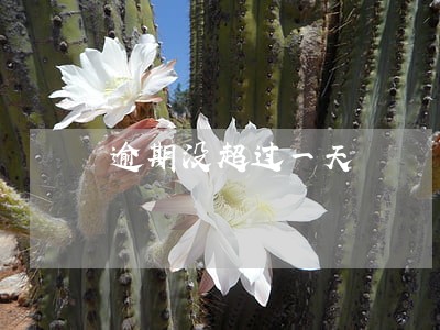 逾期没超过一天 逾期没超过一天