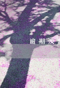 逾期没超过九十天征信会受损嘛 逾期没超过九十天征信会受损嘛