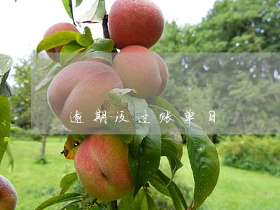 逾期没过账单日 逾期没过账单日