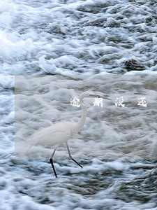 逾期没还上征信多久能消除 逾期没还上征信多久能消除