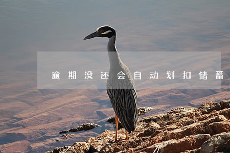 逾期没还会自动划扣储蓄卡么 逾期没还会自动划扣储蓄卡么