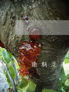 逾期没还但征信上显示已还 逾期没还但征信上显示已还