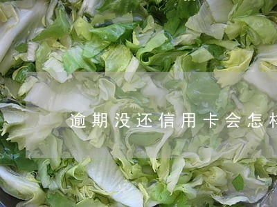 逾期没还信用卡会怎样啊 逾期没还信用卡会怎样啊