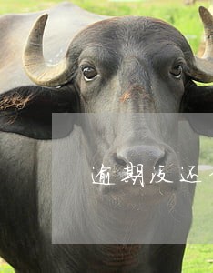 逾期没还信用卡会有利息吗 逾期没还信用卡会有利息吗