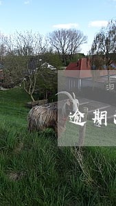 逾期没还信用卡钱怎么处理