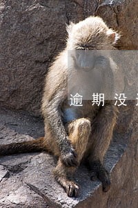 逾期没还发通告函会怎么样 逾期没还发通告函会怎么样