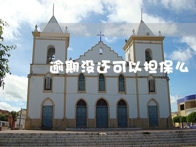 逾期没还可以担保么 逾期没还可以担保么