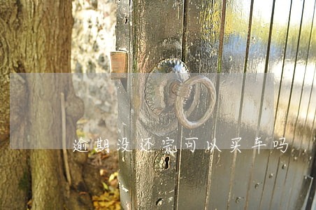 逾期没还完可以买车吗 逾期没还完可以买车吗