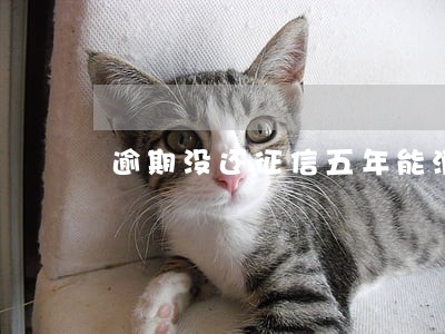 逾期没还征信五年能消除吗