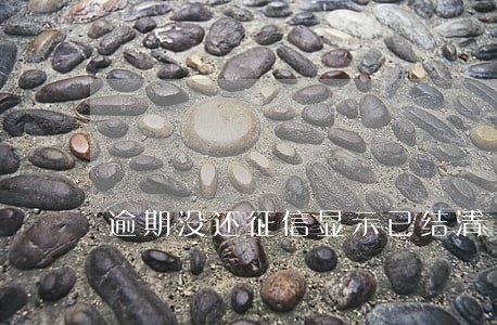 逾期没还征信显示已结清 逾期没还征信显示已结清