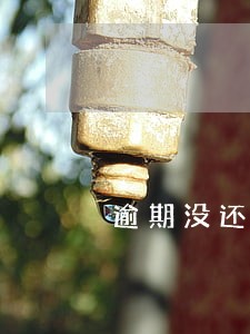 逾期没还本金 逾期没还本金